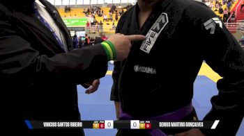 Denius Martins Gonçalves vs Vinicius Santos Ribeiro 2025 Brasileiro Jiu-Jitsu IBJJF