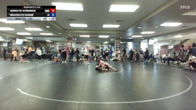 132 lbs Round 3 - Addelyn Gorringe, 208 Badgers Wrestling Club vs Brooklyn Dodge, J.E.T.