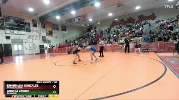 105 lbs Champ. Round 1 - Andrea Ambriz, El Rancho vs Esmeralda Gonzalez, Channel Islands