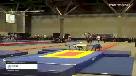 Cai Reeves - Double Mini Trampoline, NSB - 2021 USA Gymnastics Championships