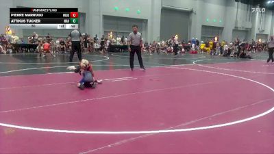 50 lbs Round 5 (6 Team) - Attikus Tucker, Maverick vs Pierre Marrugo, Project X