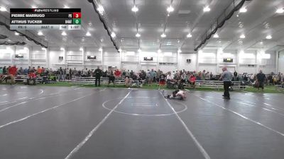 48 lbs Round 1 (10 Team) - Attikus Tucker, 84 Athletes vs Pierre Marrugo, Project X