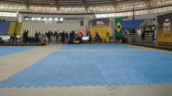 Vitor Ribeiro vs Estêvão Cavalier 2026 PBJJF Sul Brasileiro Jiu-Jitsu Championships