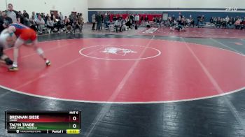 145 lbs Cons. Round 2 - Brennan Giese, Canby vs Talyn Tande, Saint James - Madelia