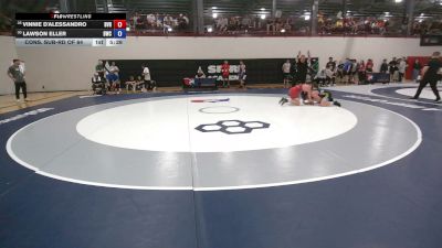65 kg Cons. Sub-rd Of 64 - Vinnie D'Alessandro, Buffalo Valley RTC vs Lawson Eller, Bison Wrestling Club