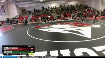 110 lbs Quarterfinal - Nic Honig, Mountain Vista vs Katelyn Faczak, Bennett
