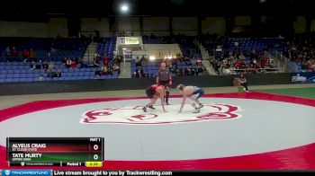 141 lbs 3rd Place Match - Alyeus Craig, St. Cloud State vs Tate Murty, Upper Iowa