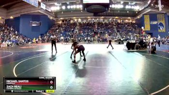 106 lbs Cons. Round 1 - Michael Santos, Chantilly vs Zach Reali, Camden Catholic
