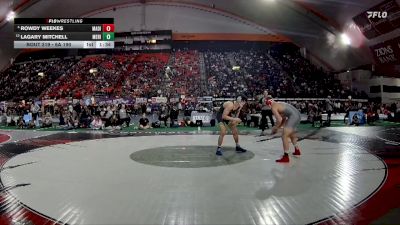 6A 190 lbs Quarterfinal - LaGary Mitchell, Meridian vs Rowdy Weekes, Madison
