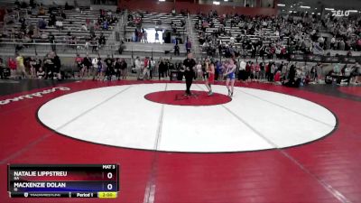 87 lbs Semifinal - Natalie Lippstreu, GA vs Mackenzie Dolan, ID