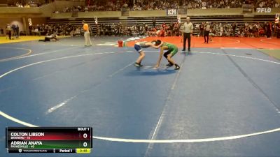 93 lbs Semis (4 Team) - Colton Libson, Brainerd vs Adrian Anaya, Paynesville