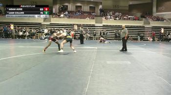 133 Championship Bracket Cons. Semi - Liam Collins, Prior Lake vs Aidan Aure, Menomonie