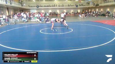 197 lbs Quarterfinal - Mauro Pellot, Alvernia University vs Daniel Eckley, Delaware Valley University