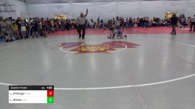 95 lbs Quarterfinal - Logan Ardinger, Hagerstown vs Liam Wines, Elkview