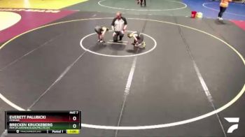 105 lbs Quarterfinal - Everett Palubicki, Perham vs Brecken Kruckeberg, PEM (Plainview/Elgin/Millville)