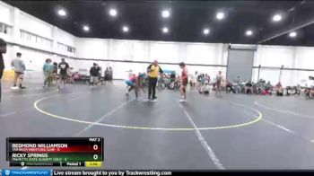 108 lbs Round 3 (4 Team) - Ricky Springs, Palmetto State Academy Gold vs Redmond Williamson, Tar River Wrestling Club