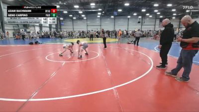 96 lbs Round 3 - 12:30pm Saturday - Adam Bachmann, Mat Assassins vs Geno Carpino, PA USA