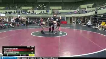 120 lbs Semis & 1st Wrestleback (8 Team) - Cooper Hanson, Dover Eyota vs Brooks Johnson, GET-Melrose/Mindoro