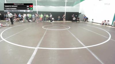 138 lbs Cons. Round 4 - Trindyn Degodt, Hastings Wrestling Club vs Luke Farmen, The Best Wrestler