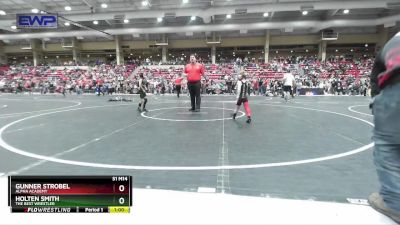 49 lbs Quarterfinal - Holten Smith, The Best Wrestler vs Gunner Strobel, Alpha Academy