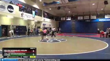 133 lbs Champ. Round 1 - Kelvin Rodriquez-Molina, East Stroudsburg vs Collin Wickramaratna, Kutztown