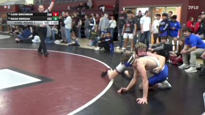 132 lbs Cons. Round 1 - Noah Bergan, Crestwood, Cresco vs Cade Birchman, Fennimore