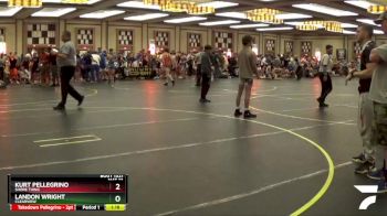 91 lbs Cons. Round 2 - Kurt Pellegrino, Shore Thing vs Landon Wright, Clearview