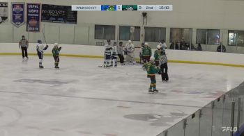 Replay: Home - 2024 Riverkings vs Ducks | Jan 6 @ 6 PM