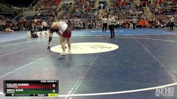 215 lbs Cons. Round 3 - Callen Garber, Carrington vs Birch Bang, Killdeer