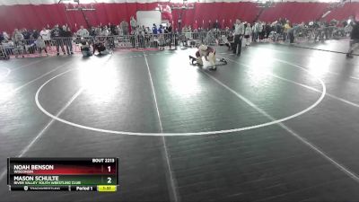 138 lbs Quarterfinal - Mason Schulte, River Valley Youth Wrestling Club vs Noah Benson, Wisconsin