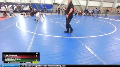 63 lbs Champ. Round 1 - Ayden Palomino, Toppenish USA WC vs Carter Dube, Team Real Life Wrestling