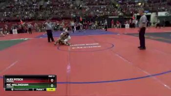 D2-150 lbs Champ. Round 1 - Nic Willingham, Aurora vs Alex Pitsch, Monroe