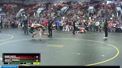 119 lbs Semifinal - Gage Salts, Grasslake Warriors MS vs Brody Winnell, Coloma WC