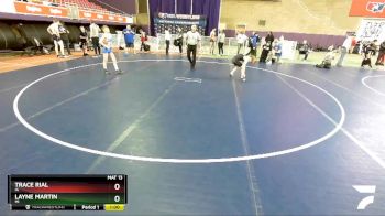 94 lbs Cons. Round 1 - Trace Rial, IA vs Layne Martin, MI