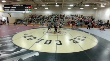 140 lbs Quarterfinal - Lillian Jukes, Prosper Rock Hill vs Aniya Hunter, Princeton