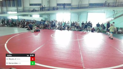 102 lbs Consolation - Andrew Reyes Jr, SoCal Hammers vs Brandon Benavides, Live Training Systems