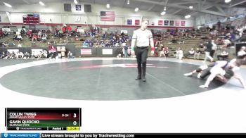 133 lbs Champ. Round 2 - Gavin Quiocho, Glenville State vs Collin Twigg, Grand Valley State