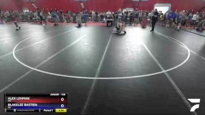 138 lbs Cons. Round 2 - Alex Lehman, MN vs Blakelee Bastien, WI