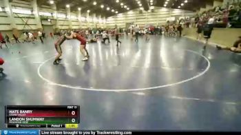 150 lbs Champ. Round 1 - Nate Banry, Cedar Valley vs Landon Shumway, Mountain View