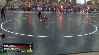 65 lbs Cons. Round 1 - Ava Westenbarger, Blackman Wrestling Club vs Adam Shelby, Jr Cyclones Wrestling