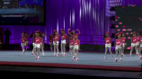 Fort Myers Firecats [2022 Tiny Mite Hip Hop] 2022 Pop Warner National Cheer & Dance Championship