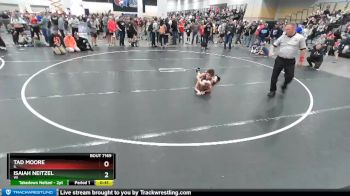 78 lbs Champ. Round 3 - Isaiah Neitzel, WI vs Tad Moore, IL