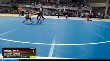 65 lbs Quarterfinals (8 Team) - Dominic Larson, Worthington vs Braxton Connor, UNC (United North Central)