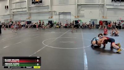 100 lbs Round 3 (6 Team) - Blaise Wilson, Tri State Hammers vs Neeson Aleski, Lake/Armory Blue