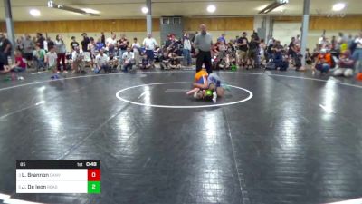 85 lbs Consolation - Liam Brannon, Danville vs Jordan De Leon, Reading