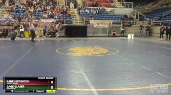 126 lbs Champ. Round 1 - Kane Mathiason, Fargo Davies vs Gage Glaser, Dickinson