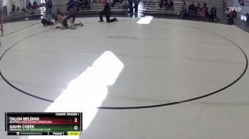 123 lbs 2nd Place Match - Gavin Cheek, Nebraska Elite Wrestling Club vs Talon Belding, Beatrice High School Wrestling