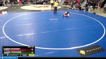 113 lbs Cons. Round 2 - Carson Eichhorst, Willmar vs Gabriel Witschorik, Waconia