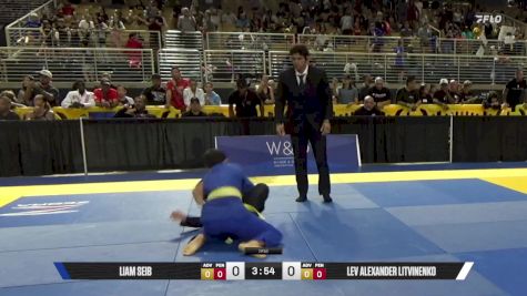 Lev Alexander Litvinenko vs Liam Seib 2025 Pan Kids Jiu-Jitsu IBJJF Championship