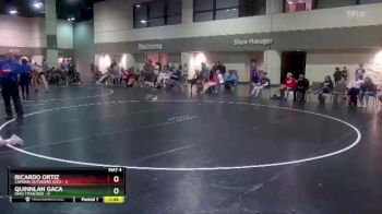 113 lbs Placement Matches (16 Team) - Quinnlan Gaca, Ohio Titan Red vs Ricardo Ortiz, Camden Outsiders Socs